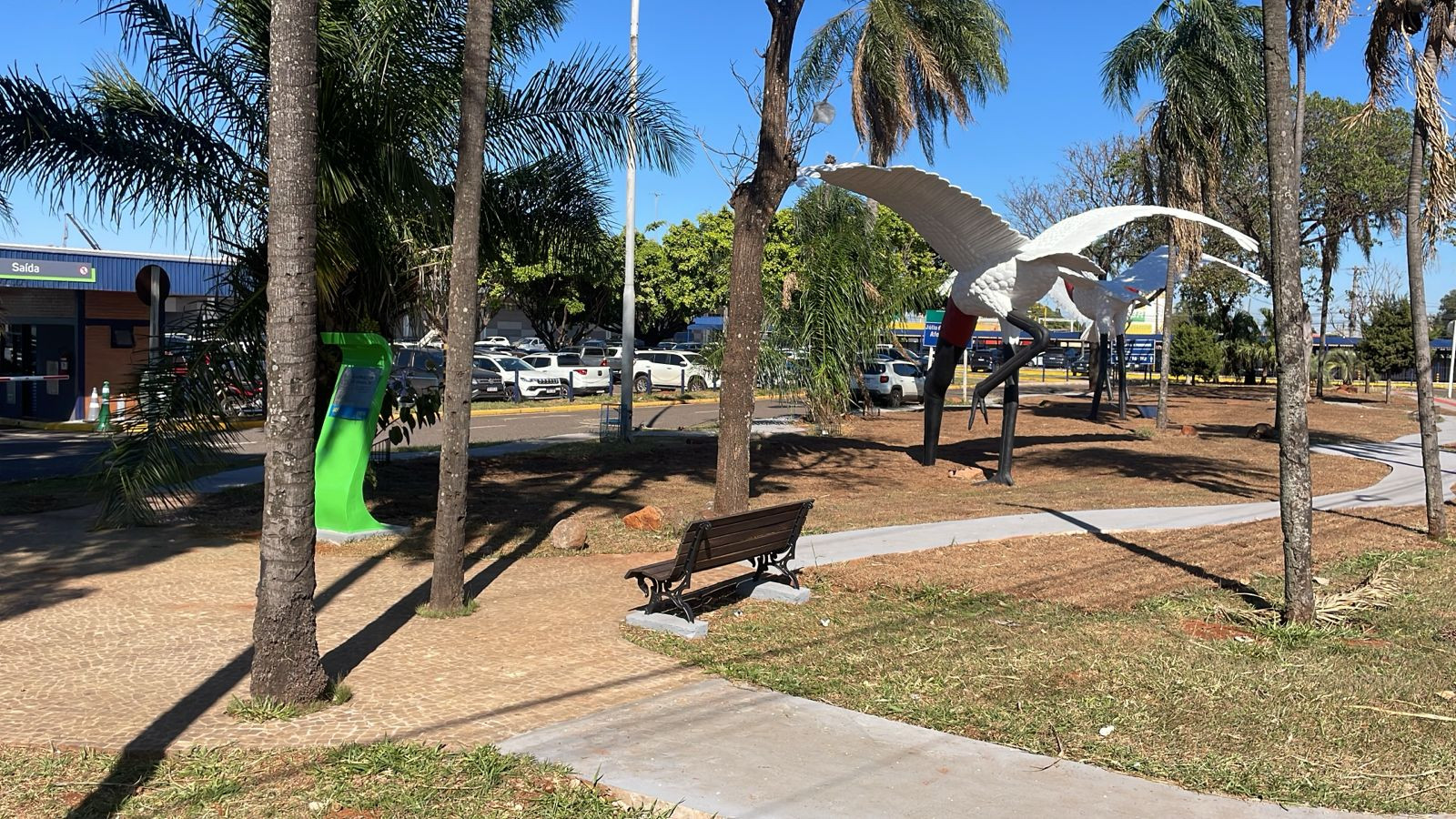 Em cooperação, Sicredi realiza entrega da revitalização dos tuiuius do aeroporto de Campo Grande