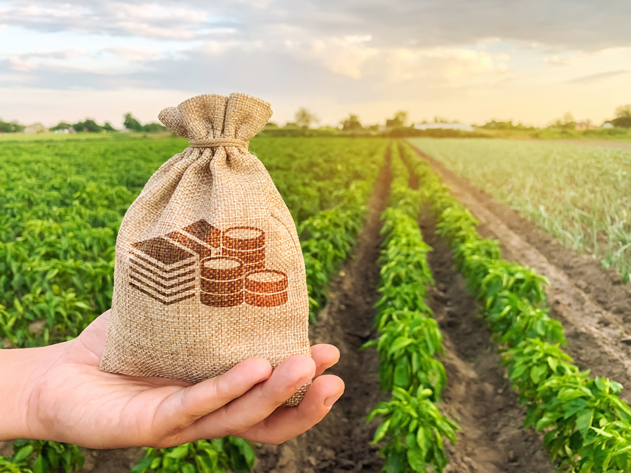 OCB debate criação de teto para registro de garantias de crédito rural