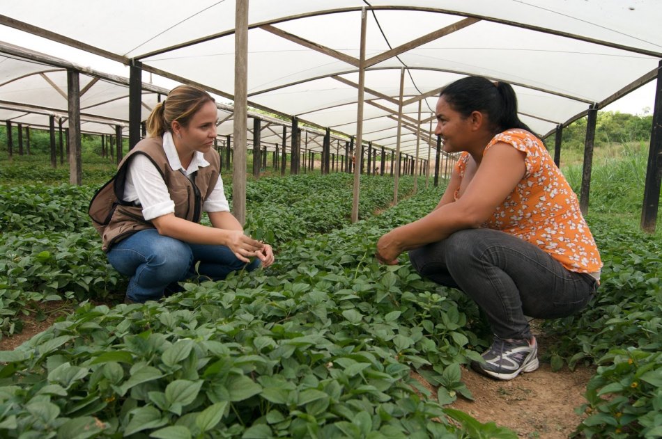 Faculdade CNA oferece cursos para o agronegócio