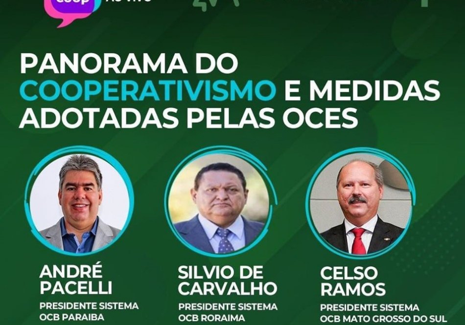 Presidentes das OCEs enfatizam os potenciais dos estados brasileiros em webinar exclusivo
