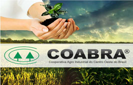 Coabra: trabalho baseado na união 