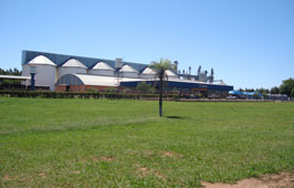 Coamo irá investir R$ 63 milhões em melhorias nas suas unidades no Mato Grosso do Sul