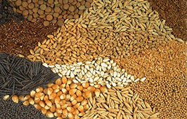 Saldo da balanca comercial de cooperativas foi positivo em 2013
