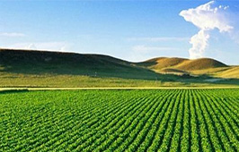 São Paulo discute Ramo Agro