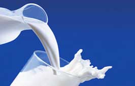 Produto lácteo do Brasil é destaque em feira internacional