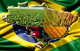 Sistema OCB e Fiesp divulgam novo Índice de Confianca do Agronegócio