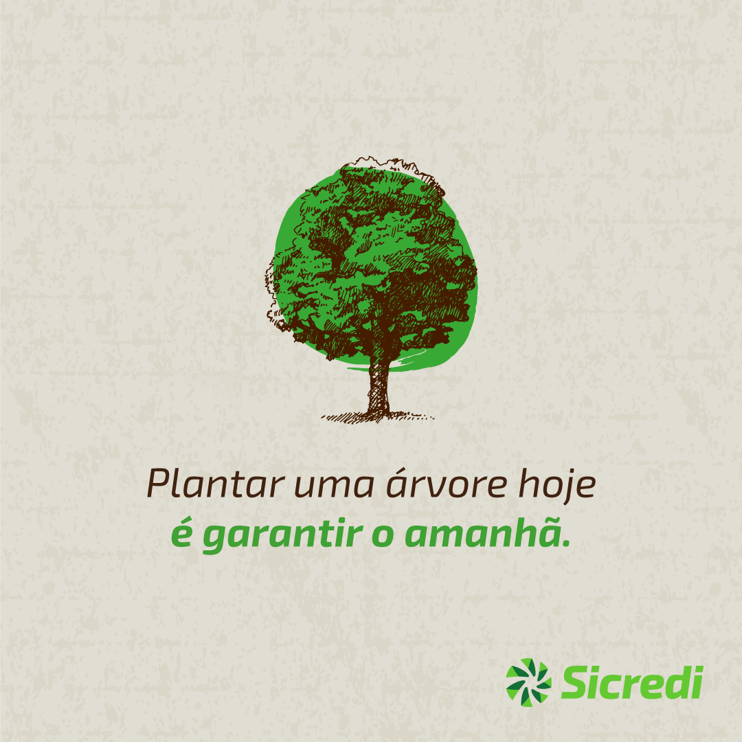 Sicredi Centro-Sul MS distribui mudas em comemoração ao Dia da Árvore