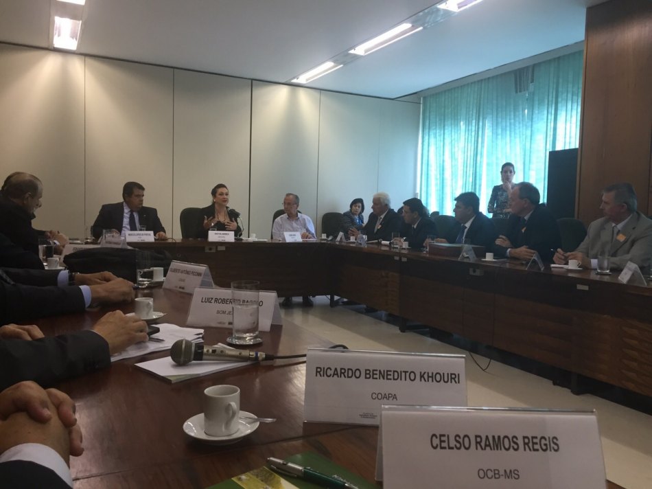 Ministra da Agricultura recebe liderancas do Crédito e Agro