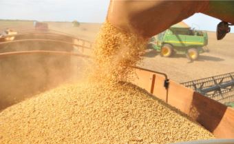 Exportacões de cooperativas crescem no primeiro semestre