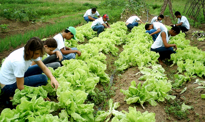 Banco do Brasil recebe projetos de apoio a jovem rural até dia 31 de julho