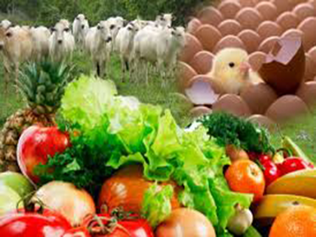 Cooperativas têm nova oportunidade para vender alimentos ao governo