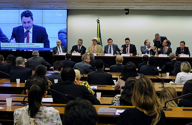 OCB participa de audiência sobre os 5 anos do novo Código Florestal