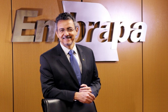 Cooperativismo: mecanismo poderoso para remover as imperfeicões de mercado