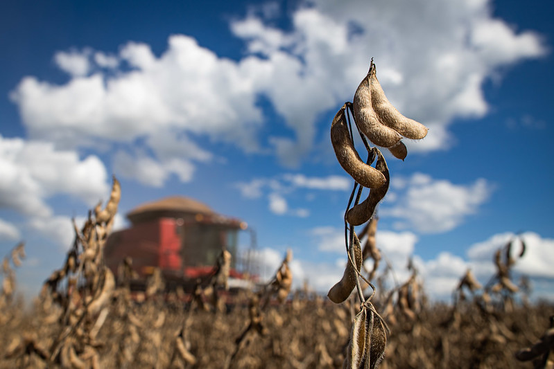 Falta de fertilizantes é tema de debate na Comissão de Agricultura