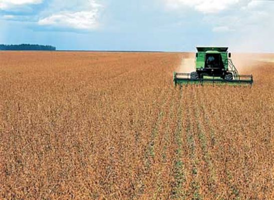 Plano Agrícola e Pecuário: a vitória do bom senso
