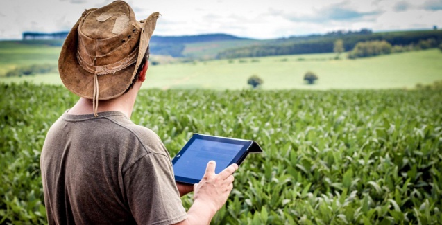 Conectividade no campo: coops podem ampliar o serviço