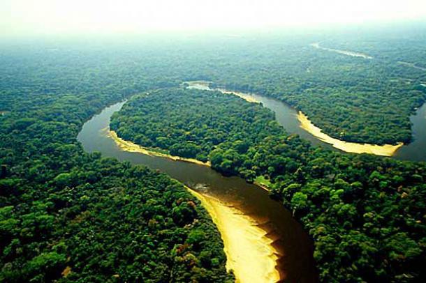 STF conclui julgamento do novo Código Florestal
