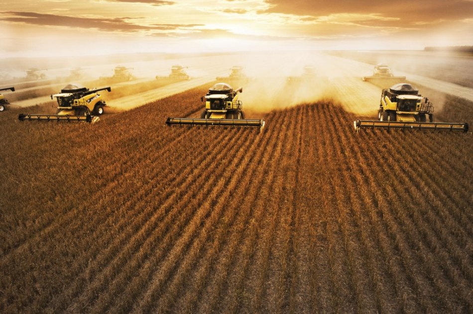 Futuro do agro depende de economia sustentável na producão