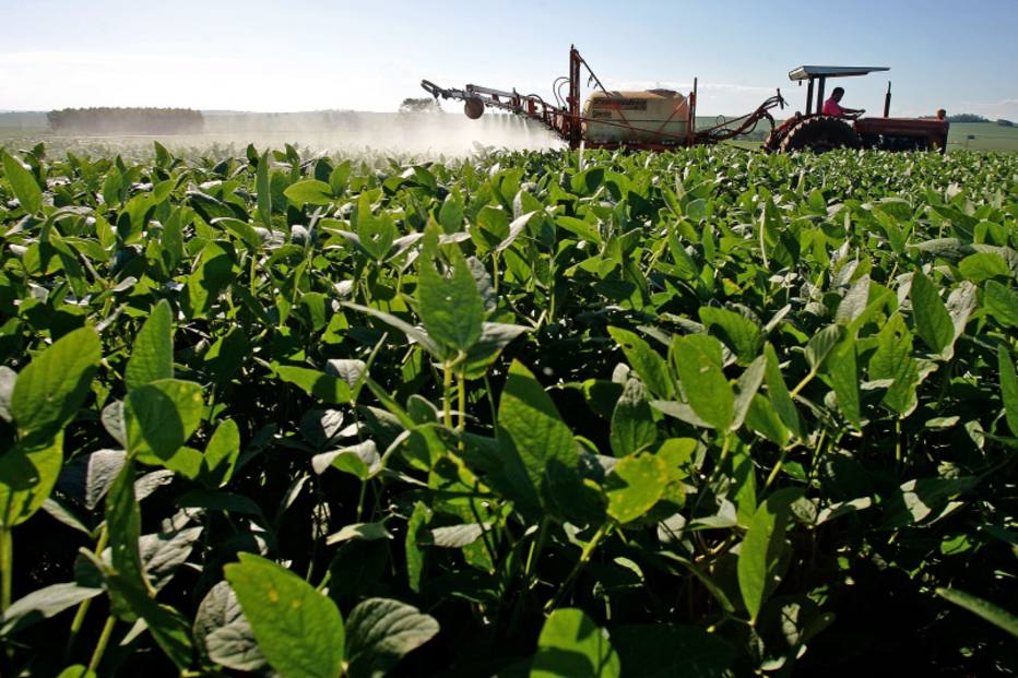 FAO: Brasil passa a ser 3º maior exportador agrícola, mas clima ameaca futuro