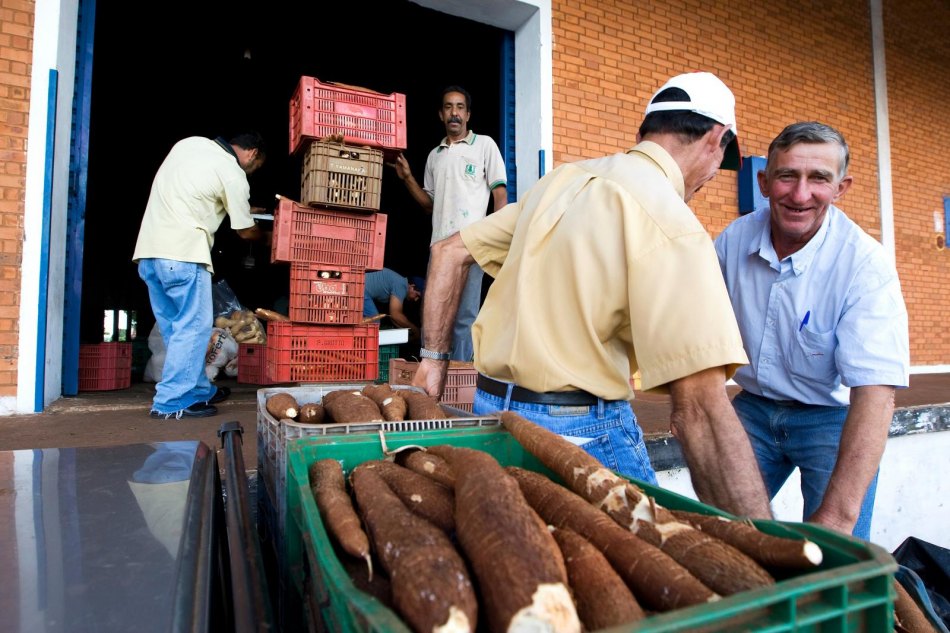 Inscricões para formacão de estoques da agricultura familiar estão abertas