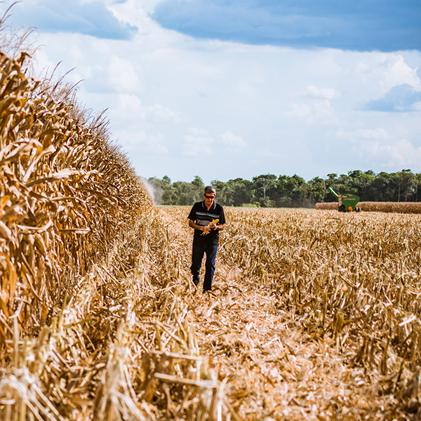Otimismo atinge toda a cadeia do agronegócio