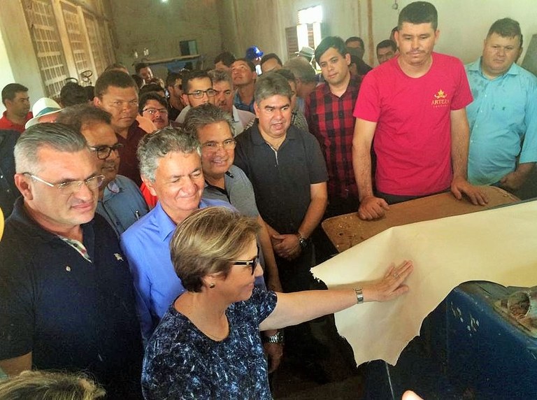 Mais Cooperativismo, novo sistema para desenvolver a atividade, é anunciado por Tereza Cristina