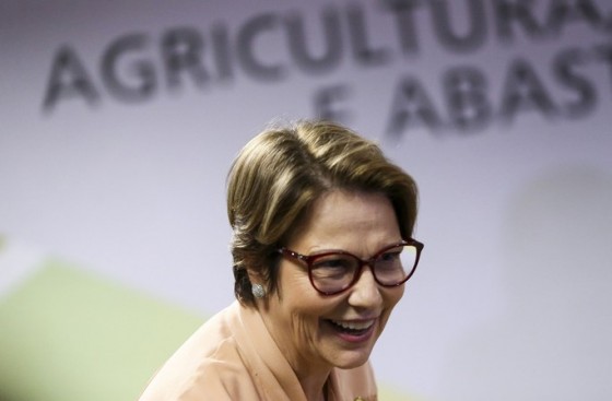 AGRICULTURA: Ministra diz que já garantiu R$ 200 bi para 2019/20