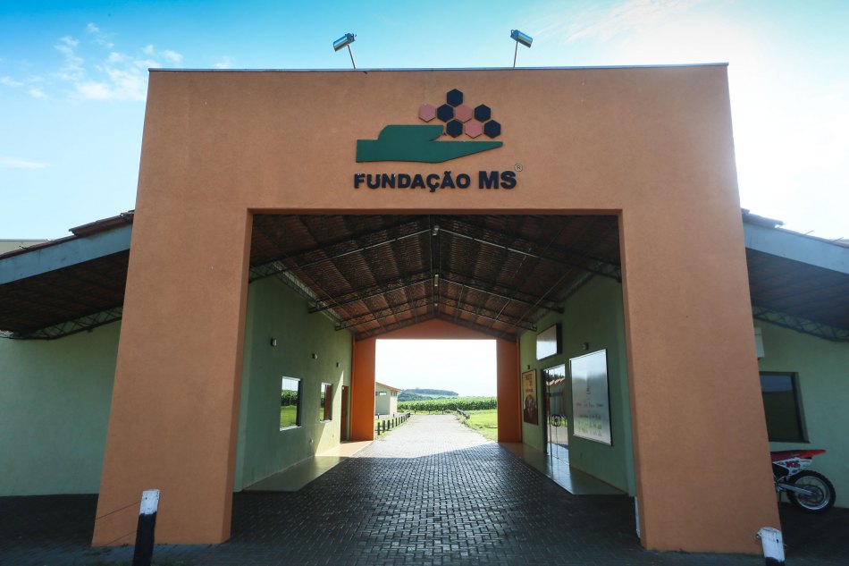 Com 27 anos de existência, Fundacão MS destaca pioneirismo na agricultura do Estado