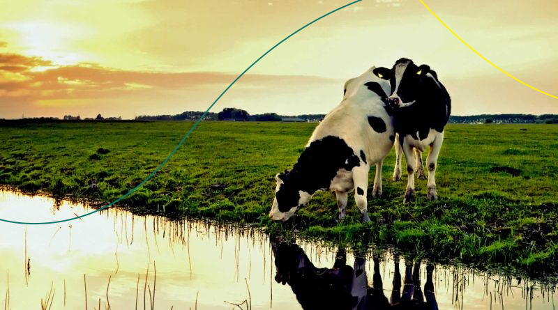 Entidades se unem para construir agenda única do agro