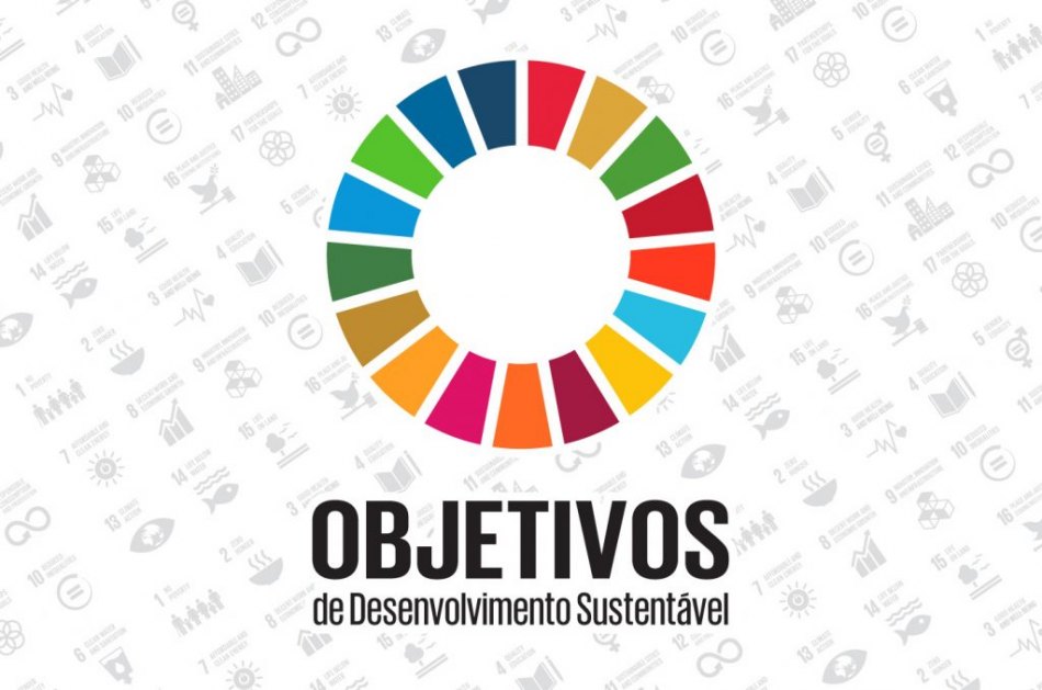ONU e OCB promovem workshop internacional sobre Cooperativas e a Agenda 2030
