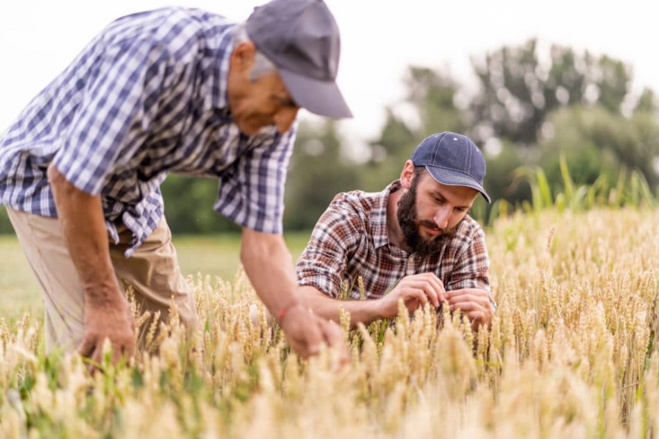 IC Agro segue em alta no 3º trimestre e marca 115,1 pontos