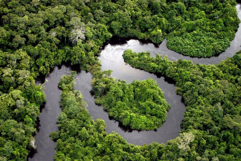 OCB discute compensação ambiental no MMA