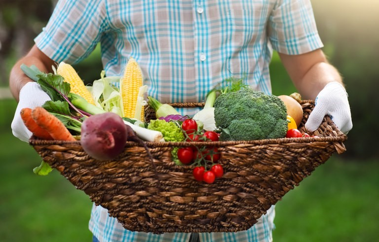 Sancionada, com vetos, lei de apoio à agricultura familiar