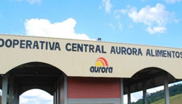 Com unidade em MS, Aurora recebe autorização e volta a exportar carne suína à China