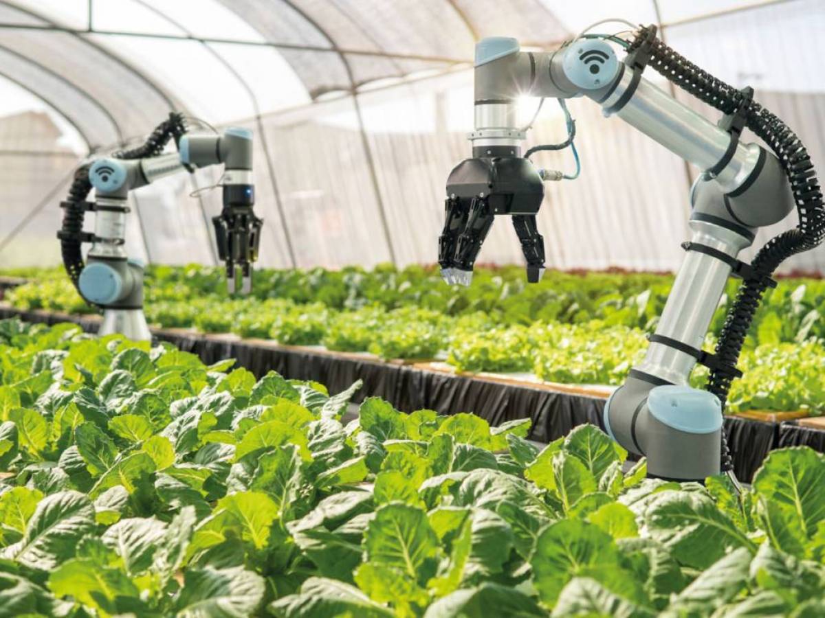 Coops são selecionadas para programa Agro 4.0