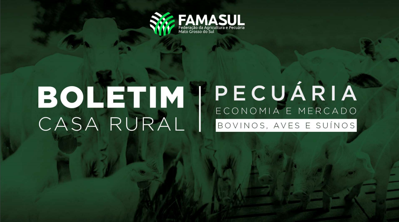 BOLETIM RURAL PECUARIA - ED. 111 2020