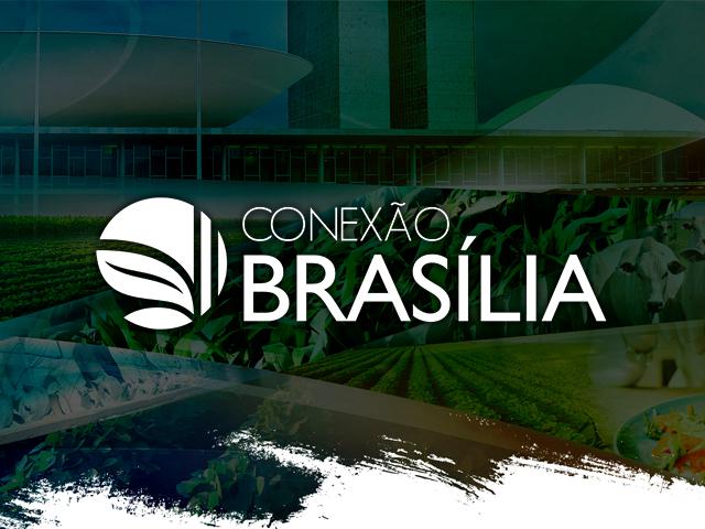 Coop é destaque em live sobre programa Floresta + Carbono