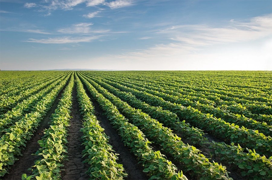 Cooperativas agro em defesa do Convênio 100