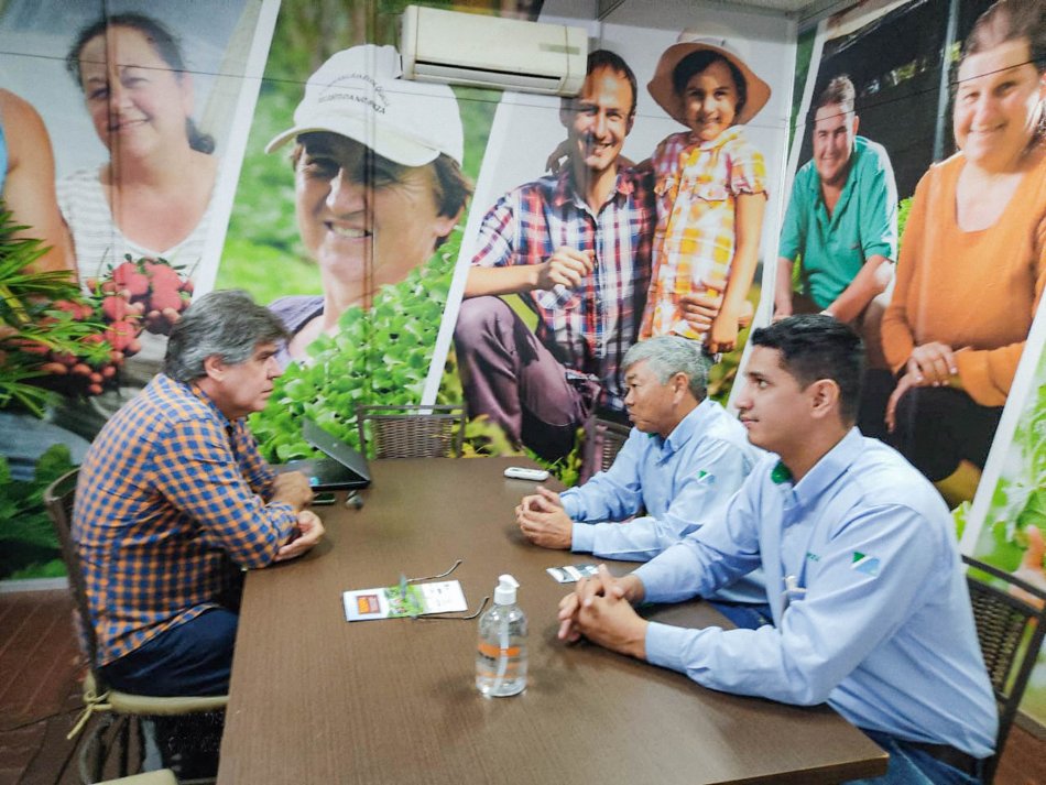 Copasul vai solicitar aprovação de novas moléculas de defensivos para a mandioca