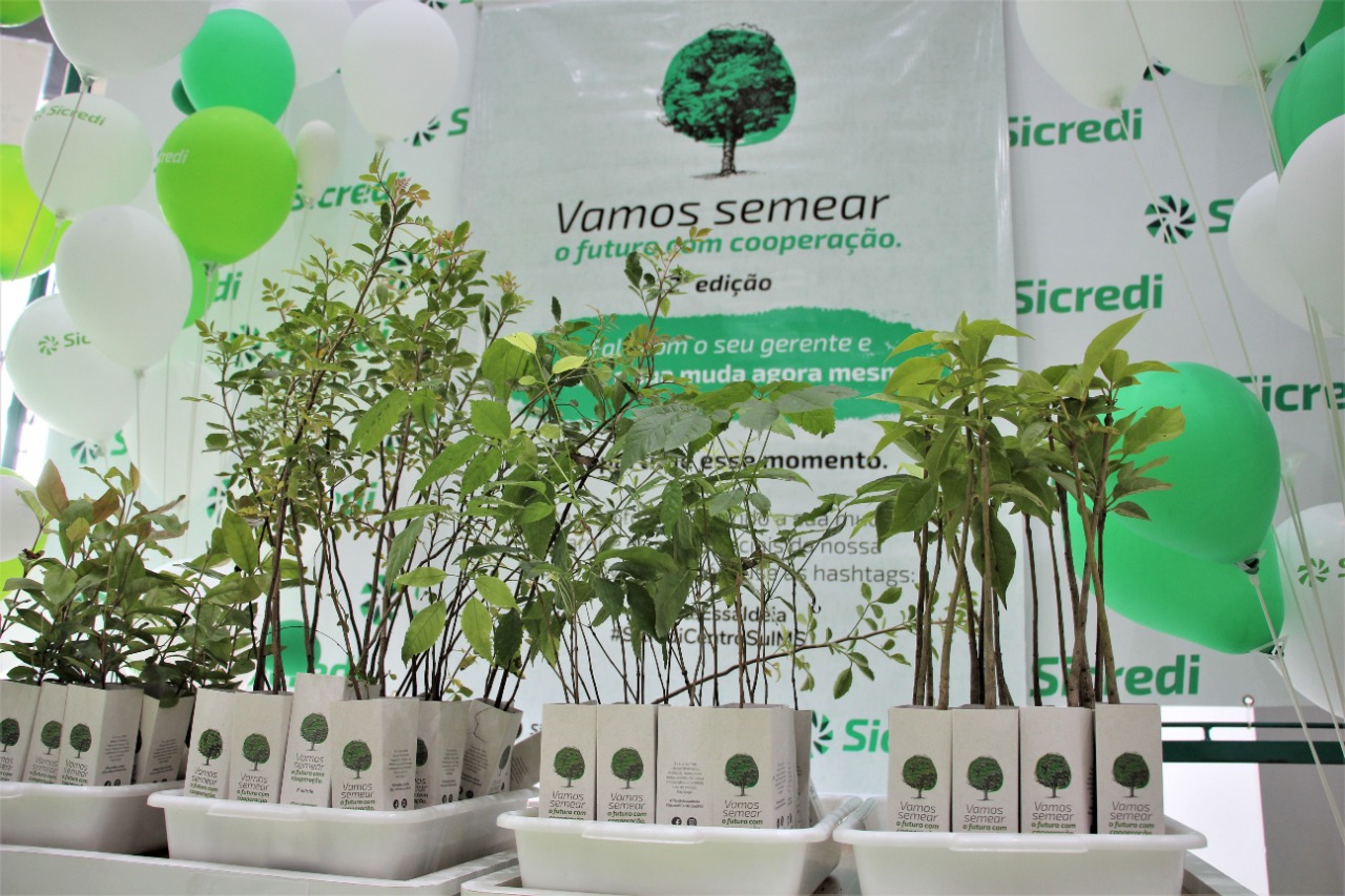 Sicredi Centro-Sul MS distribui mudas em comemoração ao Dia da Árvore