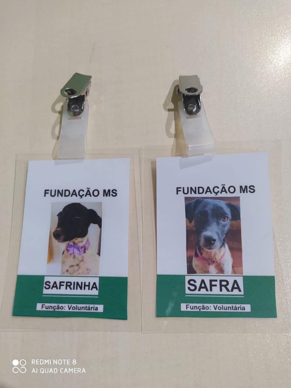Do abandono ao emprego, Safra e Safrinha mudam a rotina de empresa em MS