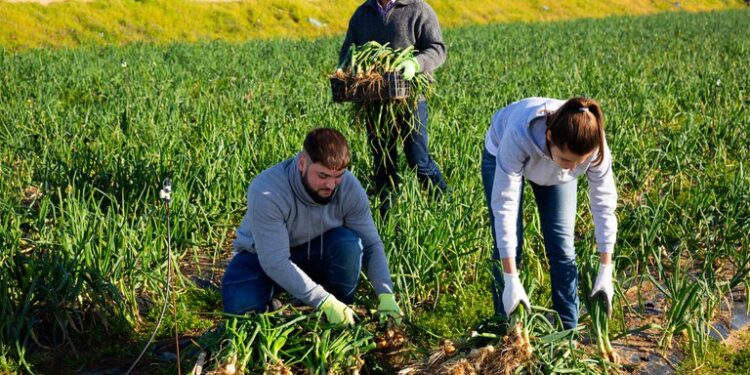 Divulgada lista de coops para programa de acesso a mercados