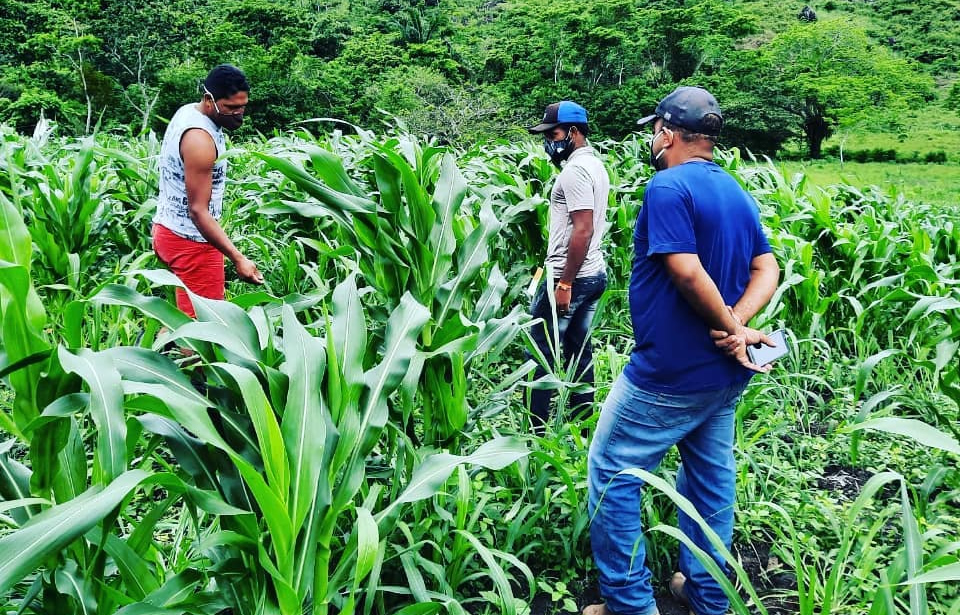 Coop contribui para fortalecer assistência técnica e extensão rural