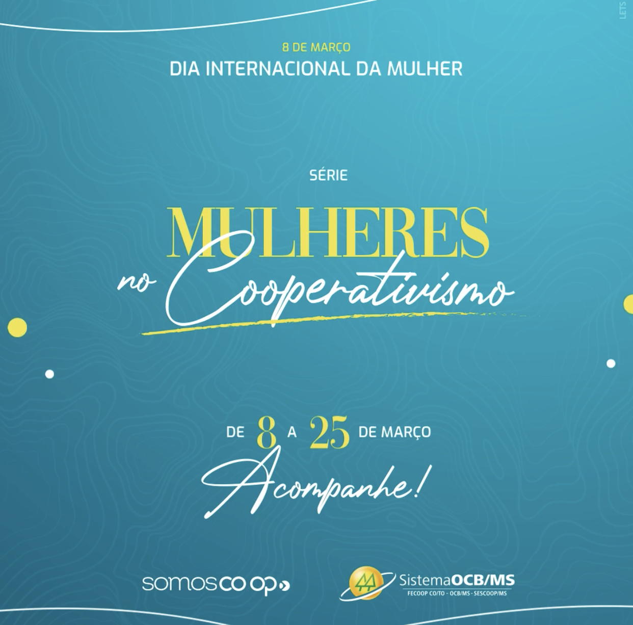 Mulheres inspiram e inovam no cooperativismo sul-mato-grossense