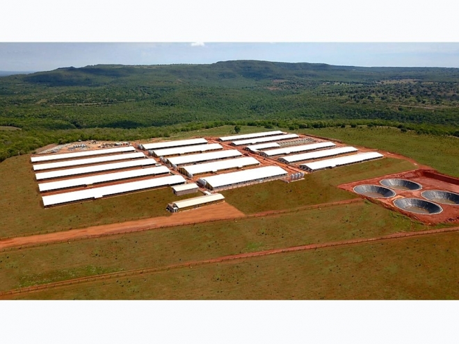 Granja Rio Verde representa um marco para expansão da Suinocultura