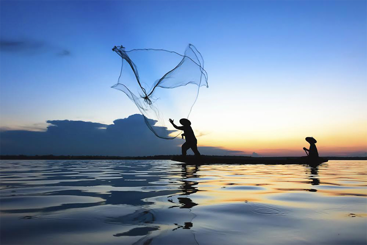 Sistema OCB defende temas das cooperativas produtoras de pescados