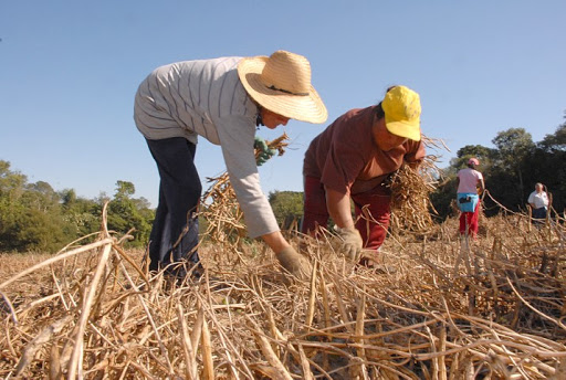 Aprovadas novas medidas de apoio para agricultores e cooperativas