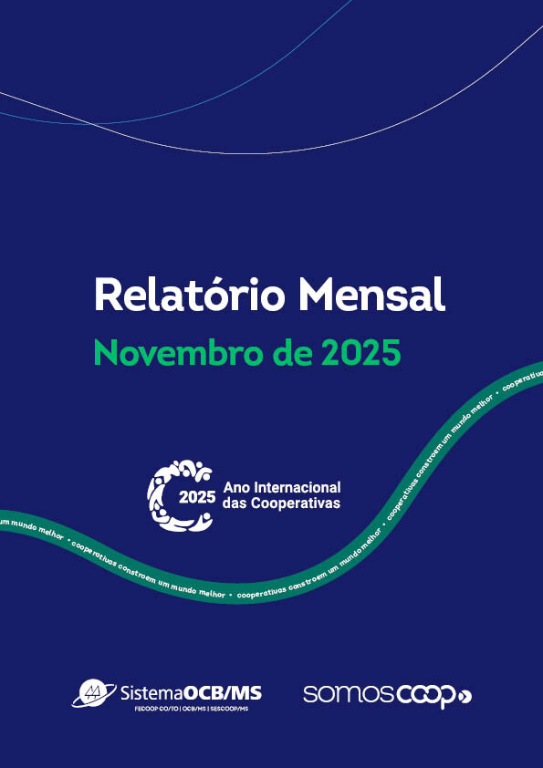 Relatório Mensal - Novembro